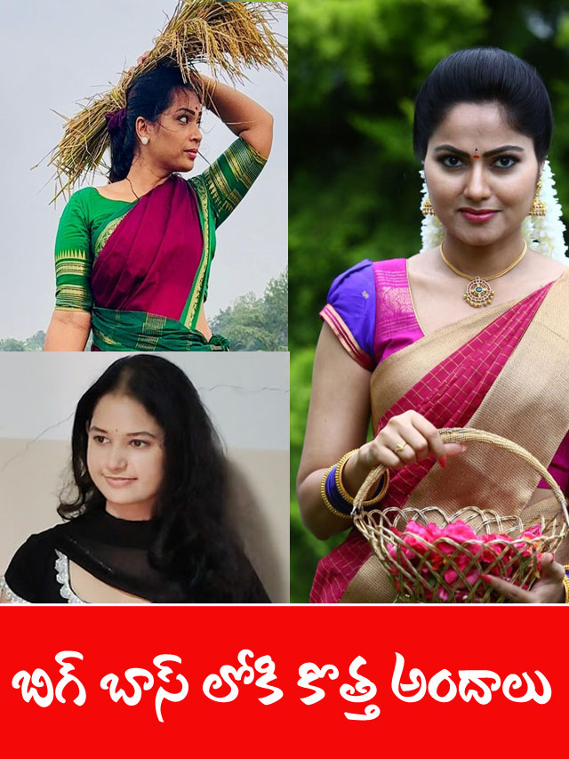 వైల్డ్‌  కార్టు ఎంట్రీ ఇచ్చేది వీళ్లే!