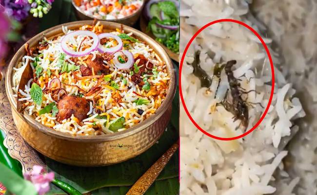 biryani