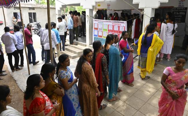 local body elections