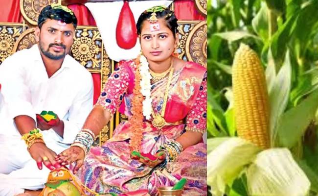 vizayanagaram