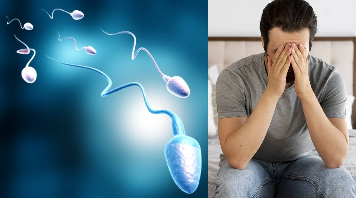 Sperm count increase