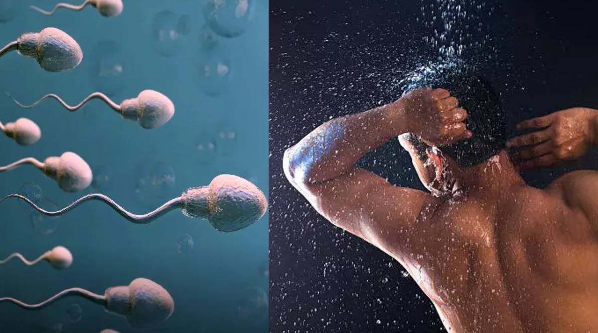 sperm count naturally