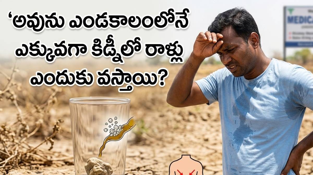 Kidney Stones : ఎండకాలంలోనే ఎక్కువగా కిడ్నీలో రాళ్లు ఎందుకు వస్తాయి? ..
